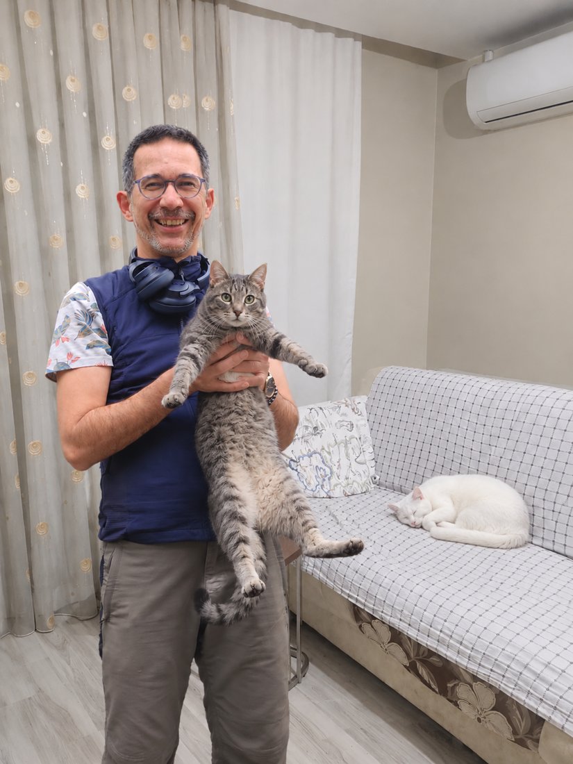 Ulaş kucağında gri tekir bir misafirle, koltukta beyaz bir kedi uyuyor
